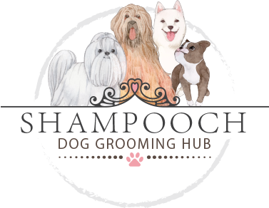 Client Policy Agreement at Shampooch Dog Grooming Hub
